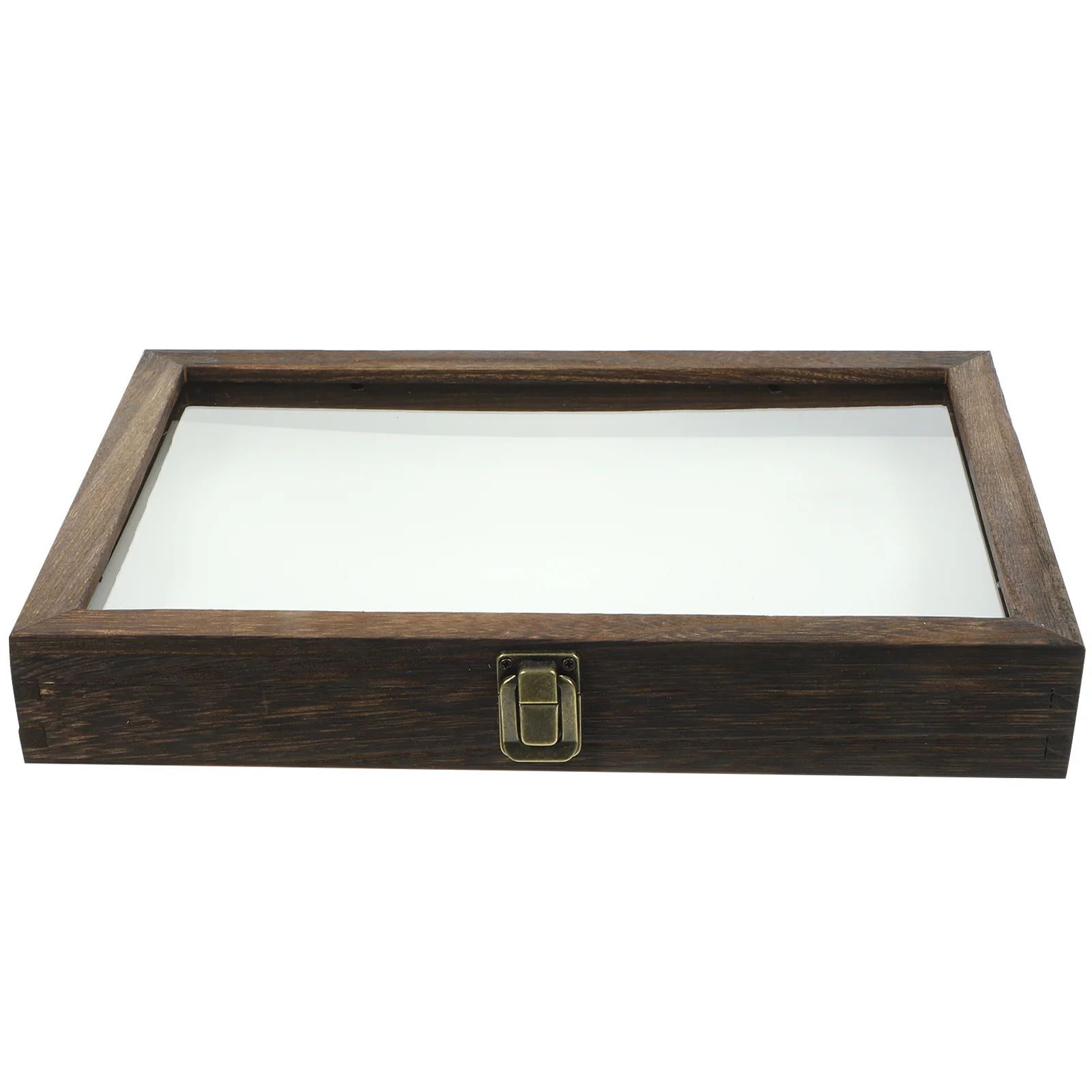 1 Set Insect Specimen Box With Transparent Lid For Plant Wood Storage Display Case Shadow Frame Container Wooden Showcase Tool