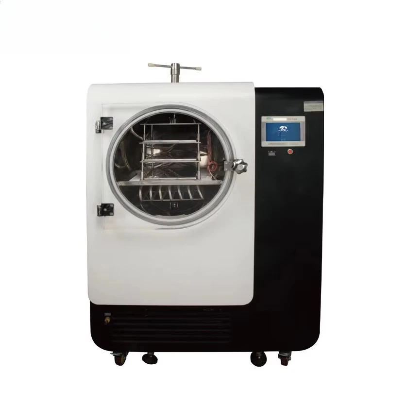 Lyophilisateur sous vide personnalisé en laboratoire, algorithme chauffant, Sublimation efficace pour produits biologiques, utilisation en laboratoire