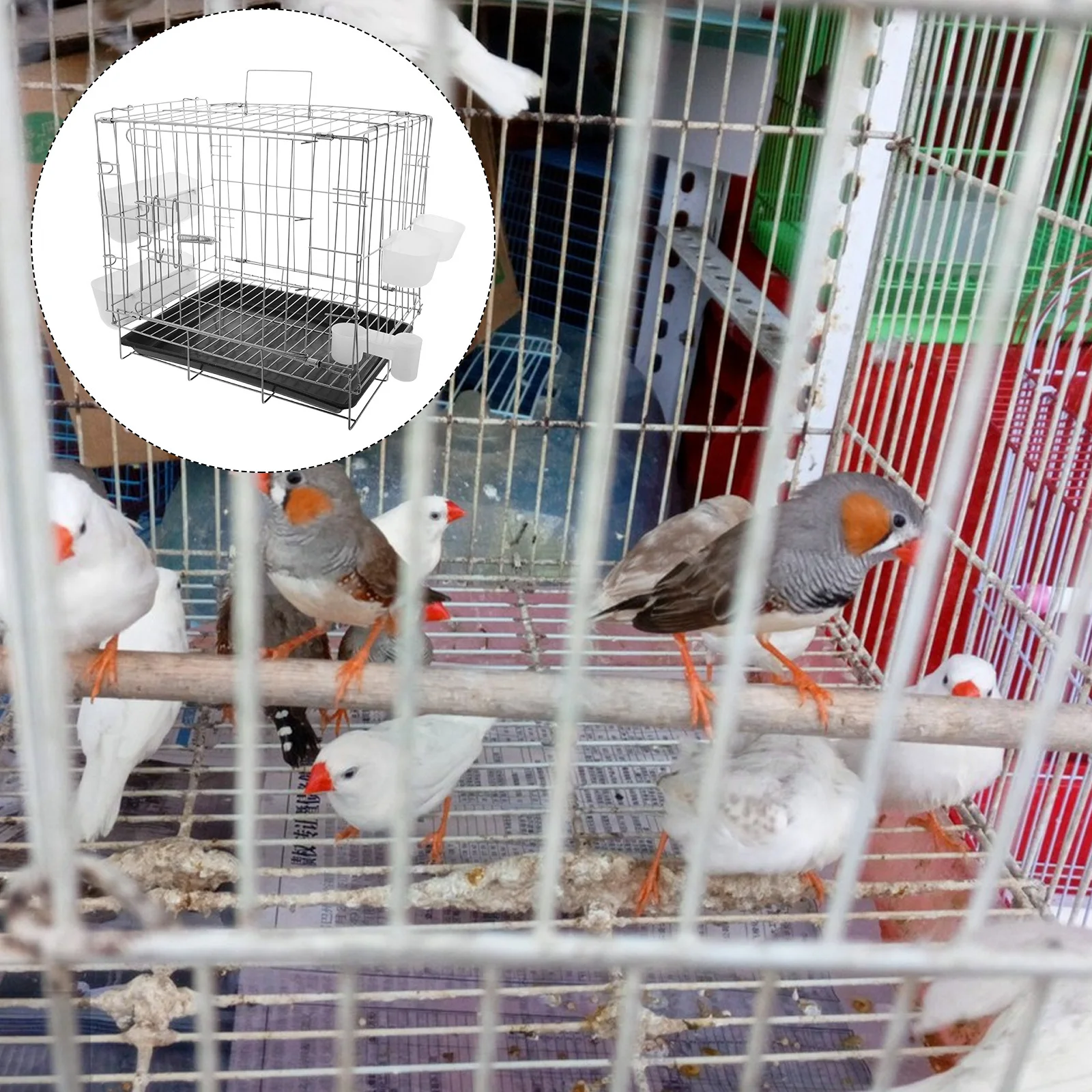 

Folding Pigeon Cage Portable Breeding Nest Pairing Escapeproof Trainer Bird Travel Crate for Homing Pigeons Parrots Canaries