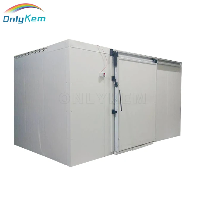 Freezer room cooling room cold storage freeze seafood storage cold room for fish and seafood preservation and processing