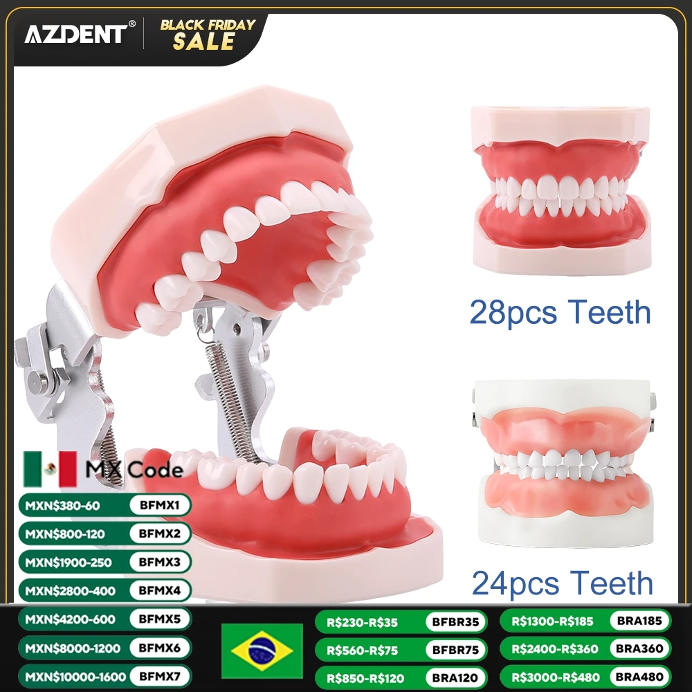 AZDENT Dental Resin Model Removable Training Typodont Teeth Model for Dentists Practice Adults Children Tooth Learning Model