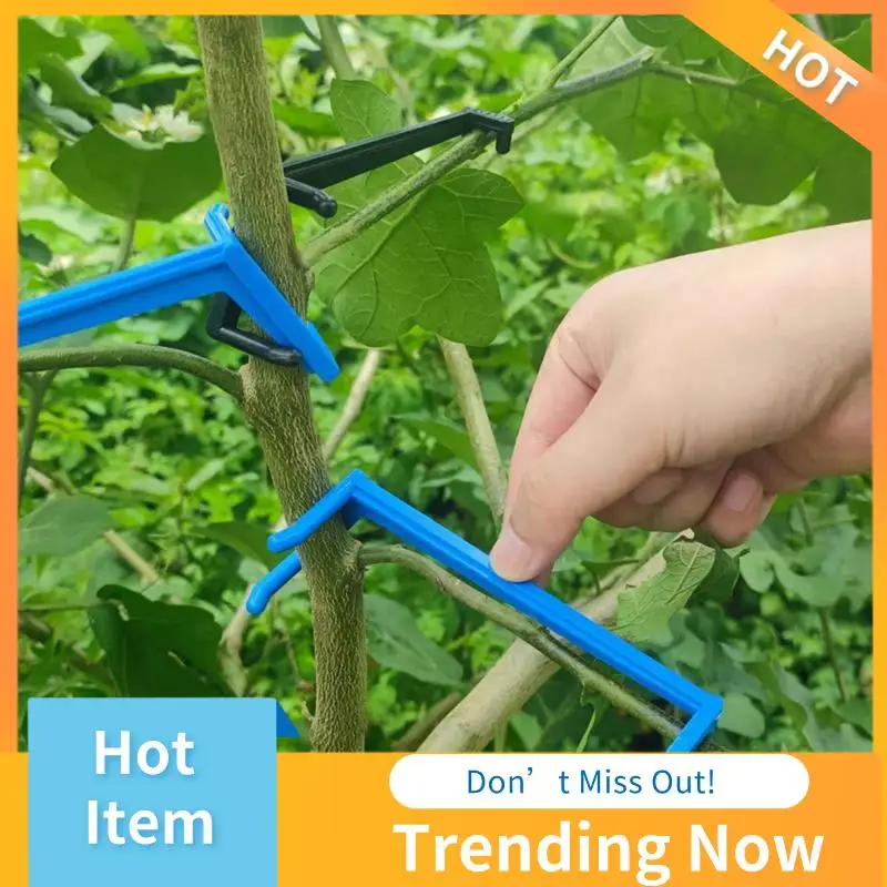 

ABNL Plant Stem Trained Fruit Tree Branch Puller Tying Machine Farm Tools New Plum Tree Open Angle Pull