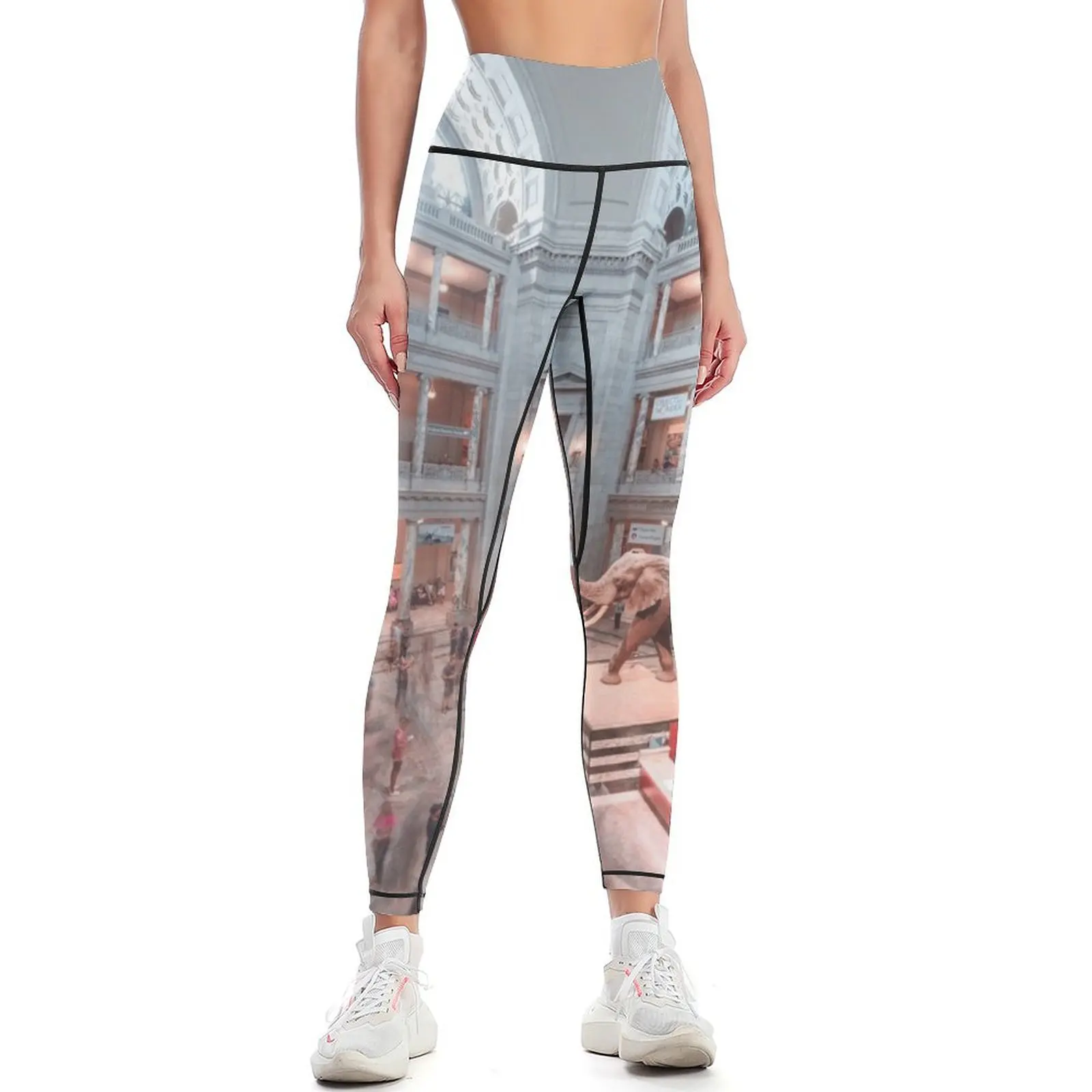 Smithsonian Natural History Museum Leggings Women's gym jogging pants gym womans Fitness's gym clothes Womens Leggings