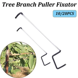 10/20PCS Fruit Tree Branch Limb Spreader Tool 7/10 Inch Plastic Hose Wrapped Iron Wire Tree Open Angle Pull Branch Bending Tool