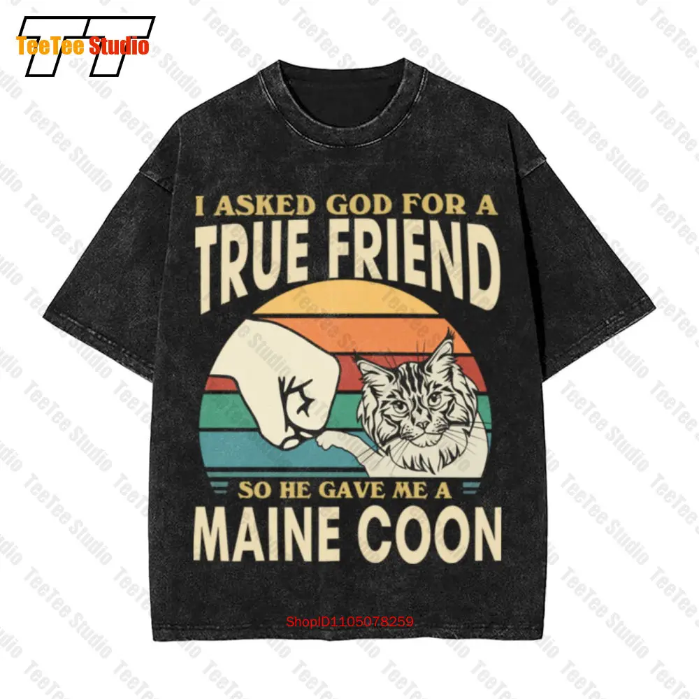 لقد طلبت الله من أجل صديق حقيقي، أعطني ماين كون لطيف القط خمر تي شيرت VIXE #2