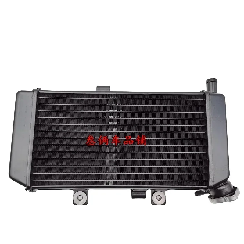 

250CC Motorcycle Engine Parts Water Cooler Radiator Water Tank Assembly Suitable for Cfmoto 250NK 2018-2025
