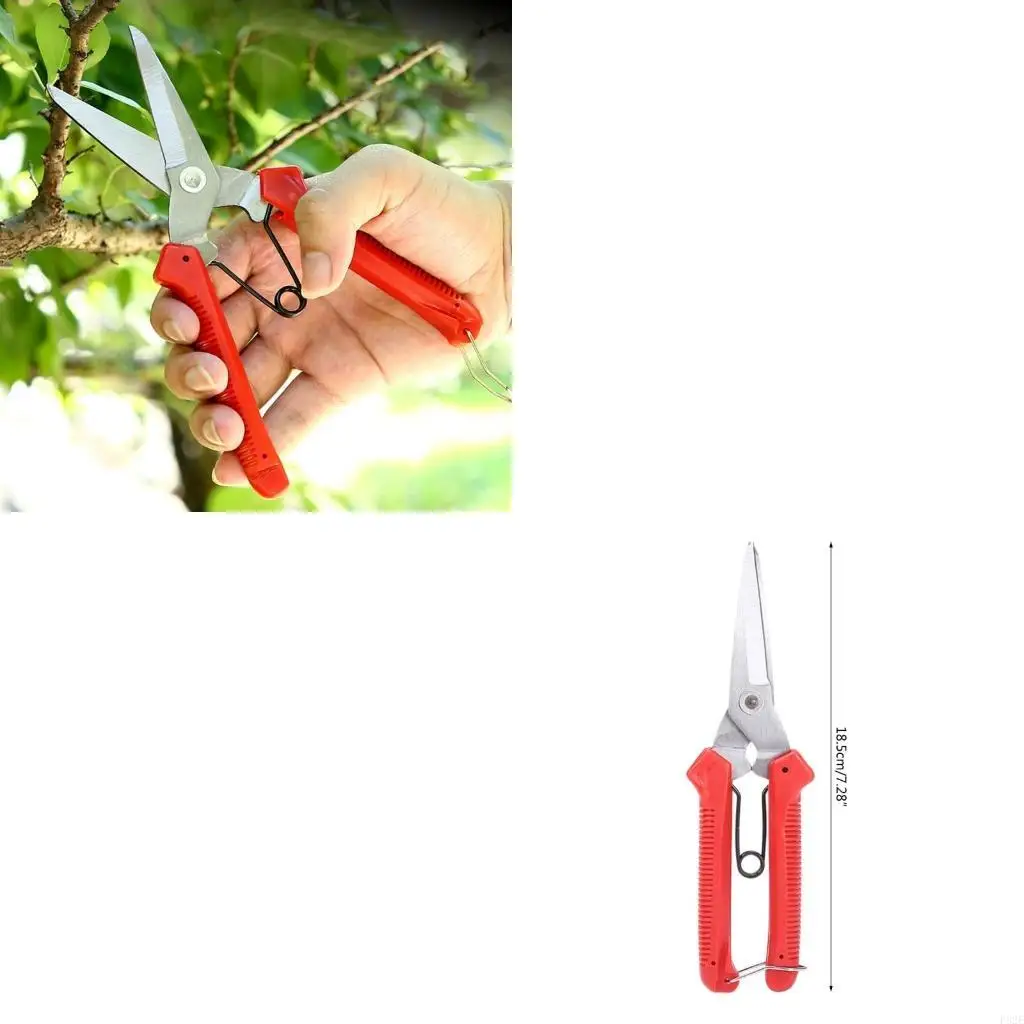 

Garden Tools Professional Farming Pruning Shears Grafting Scissor Fruit Trees