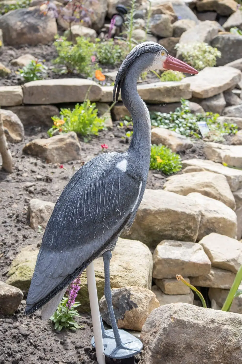 Blue Heron Decoy with Legs & Stake 30'' (76cm) Tall, Adult Blue Heron Statue for Backyard Koi Fish Ponds, Yards & Water Gardens