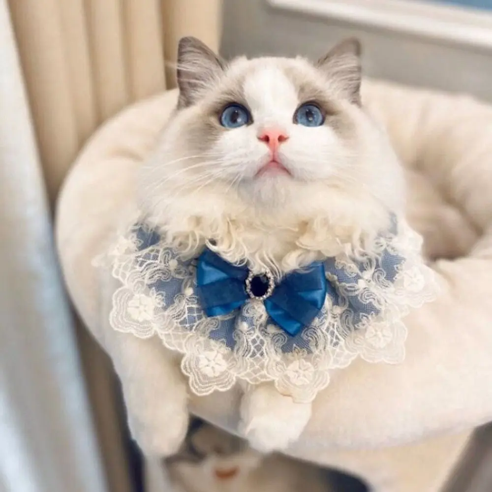 Adjustable Dog saliva towel Cat  Dog Neckerchief Lace Bowknot Puppy String Bib Pearl Collar