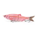 snapper