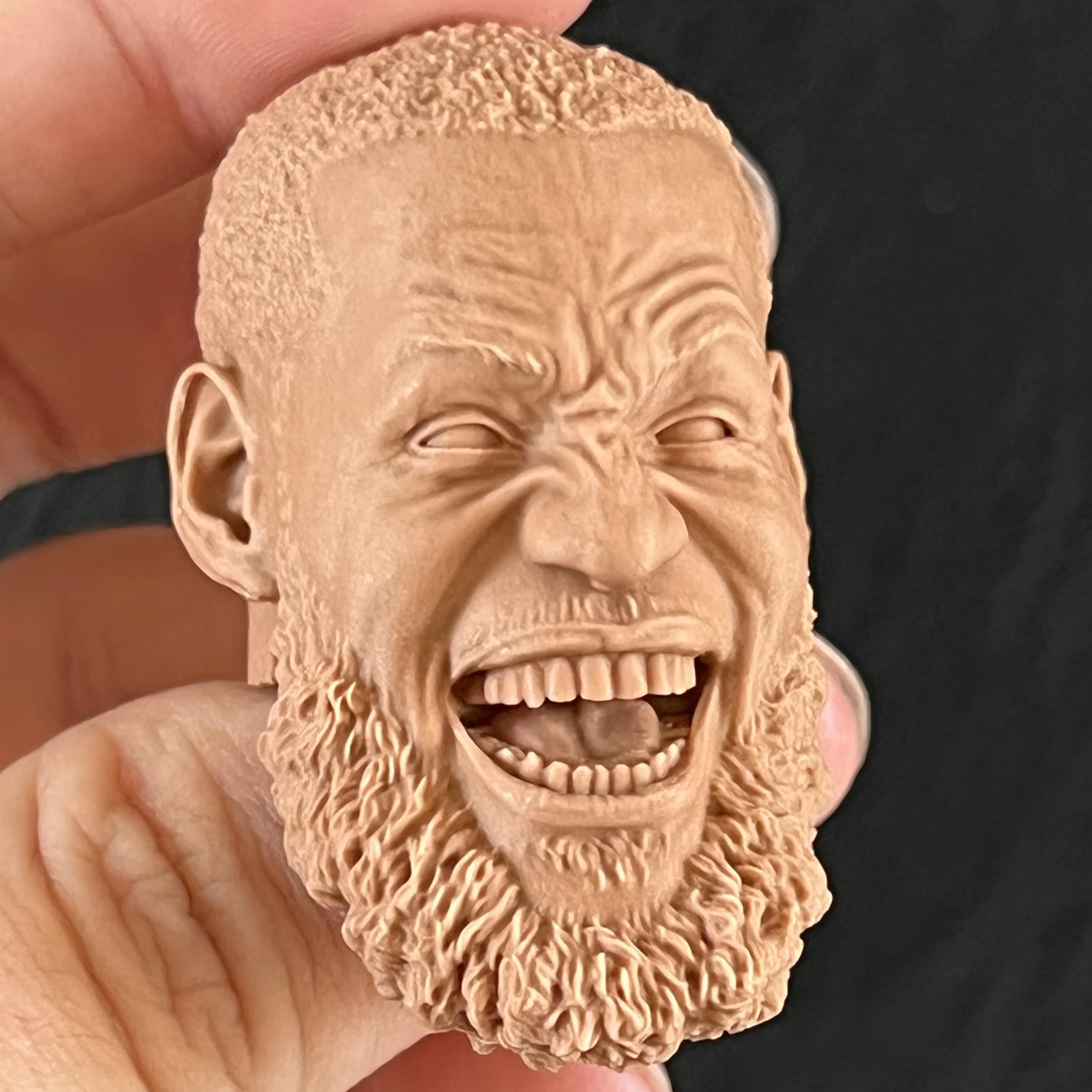 1:6 Die-Cast Resin Figure Model Puzzle Kit Figure Head James Exquisite Sculpted Model Unpainted (50mm)