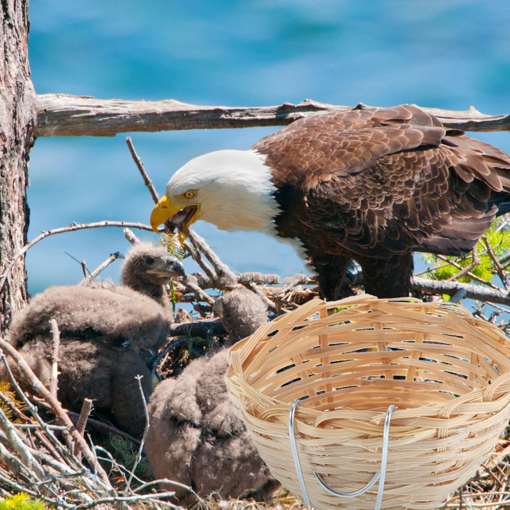 

8Pcs Bamboo Bird Nests Hanging Cozy Parrot Breeding Nest Outdoor Garden Balcony Perching Bamboo Bird Nests