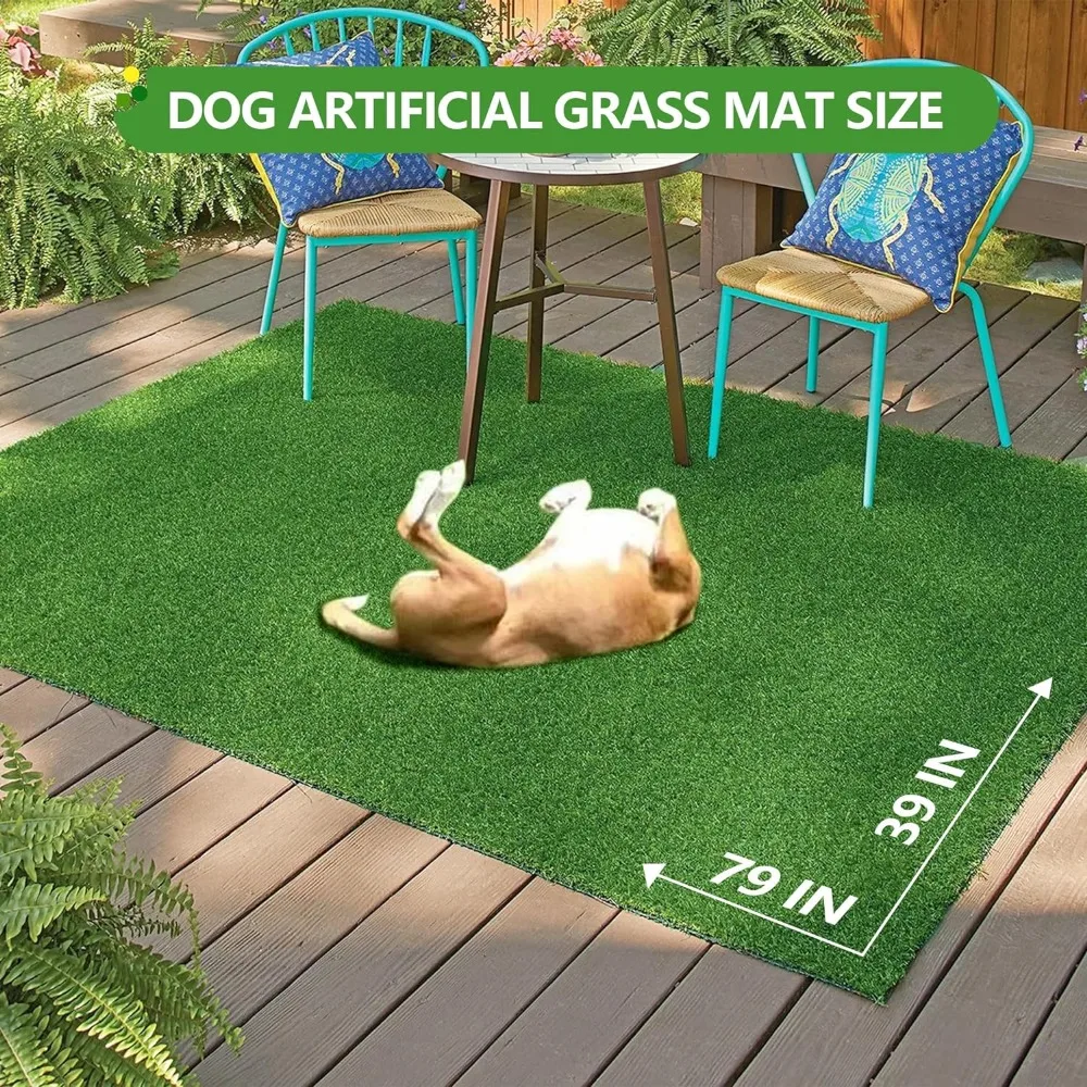 Artificial Grass for Indoor and Outdoor (79 X 39 Inch (Pack of 1)), Artificial Grass, Customizable Sizes