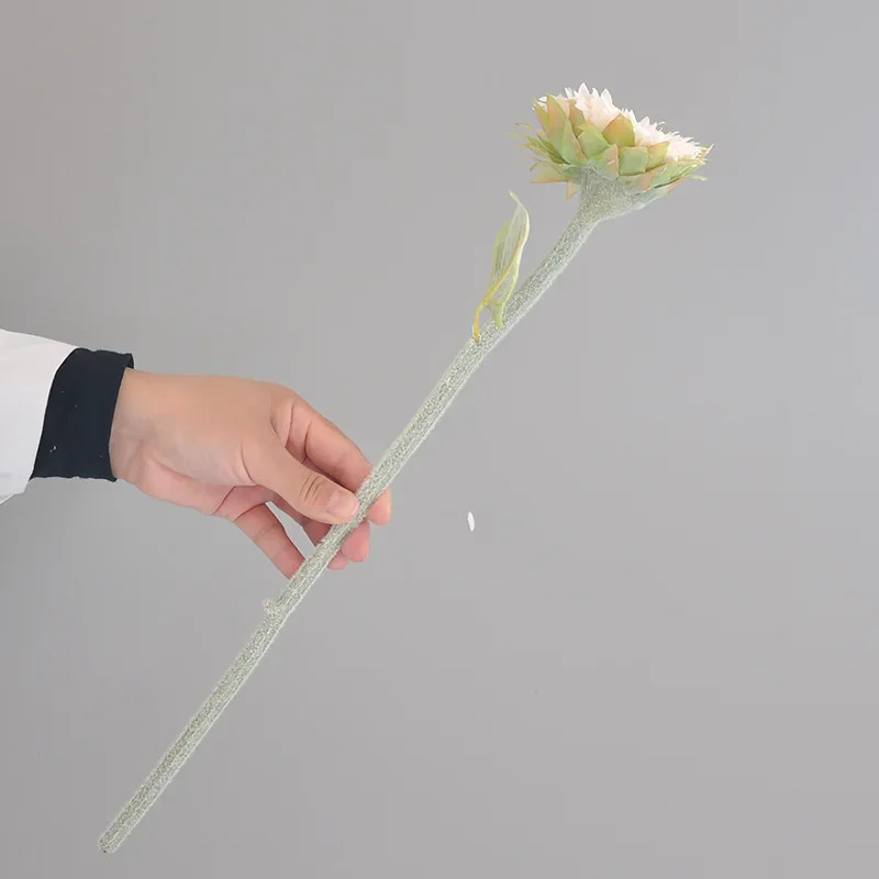 Variant: Small Champagne-1PC