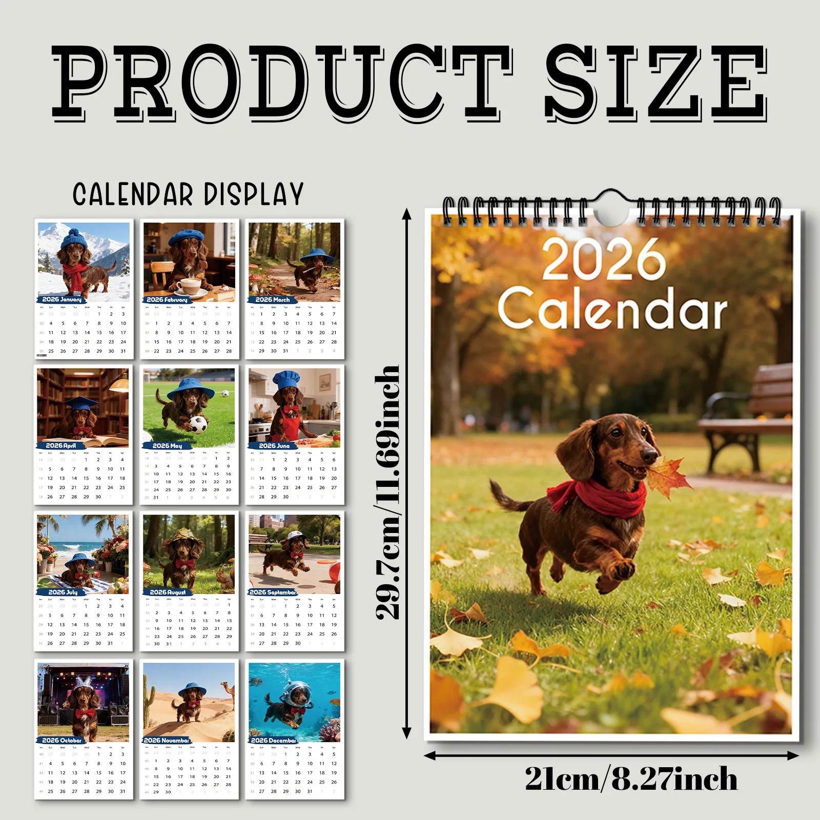 Calendrier sur le thème du teckel 2026, adapté au contrôle des dates, décoration de la maison, parfait pour les amoureux des chiens, un cadeau créatif, 1 pièce