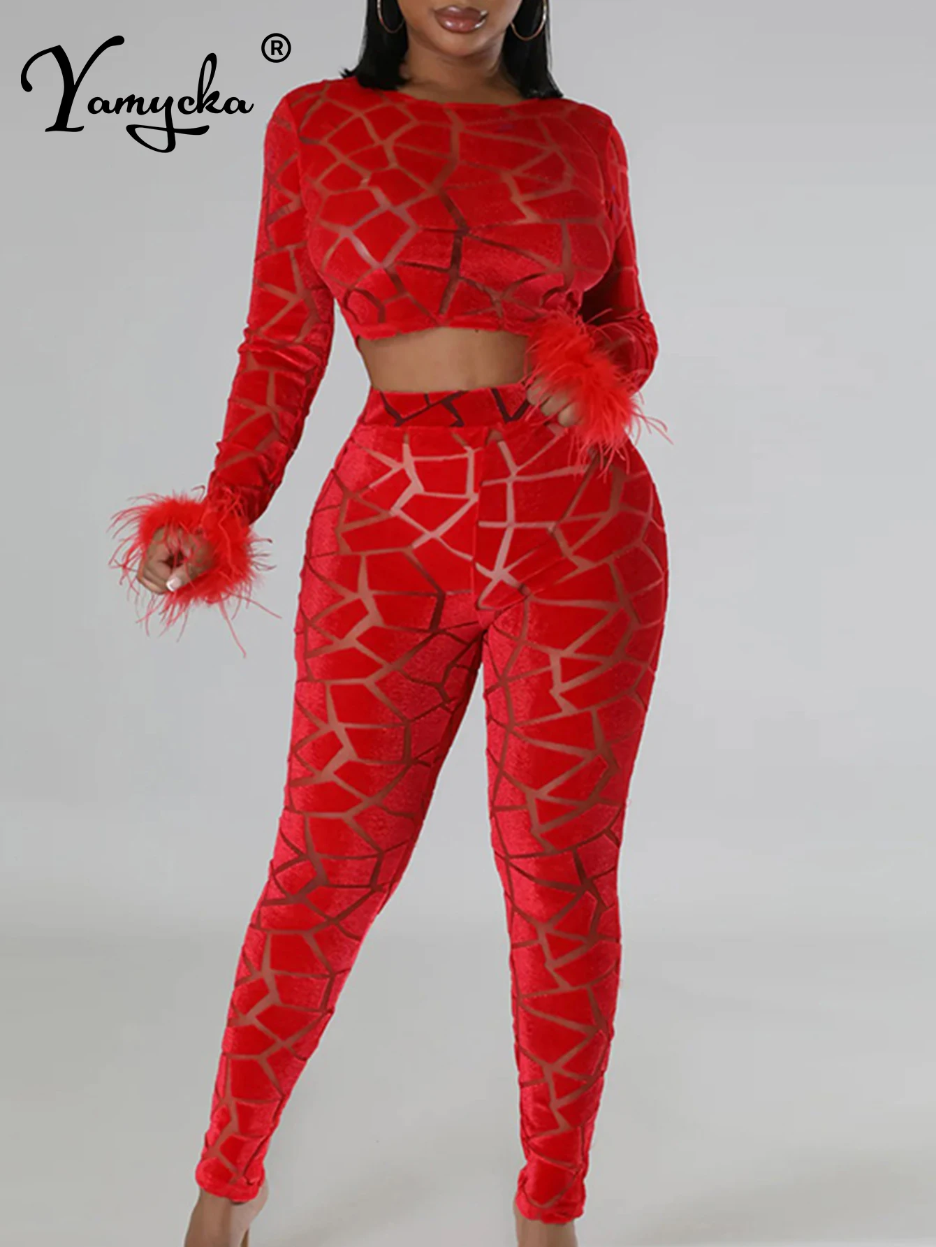 Sexy see through velvet mesh jumpsuit women 2024 summer body Pants birthday party club outfits Long sleeve jumpsuits bodysuit HL