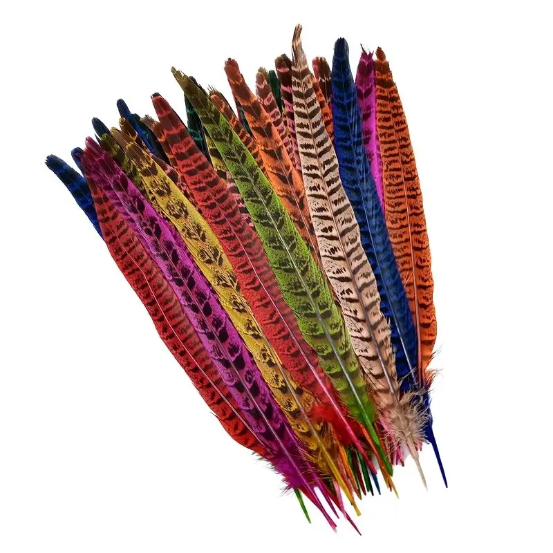 10Pcs Pheasant Tail Feathers Table Decoration Crafts Supplies Plumas DIY Dream Catcher for Wedding Carnival Accessories Material