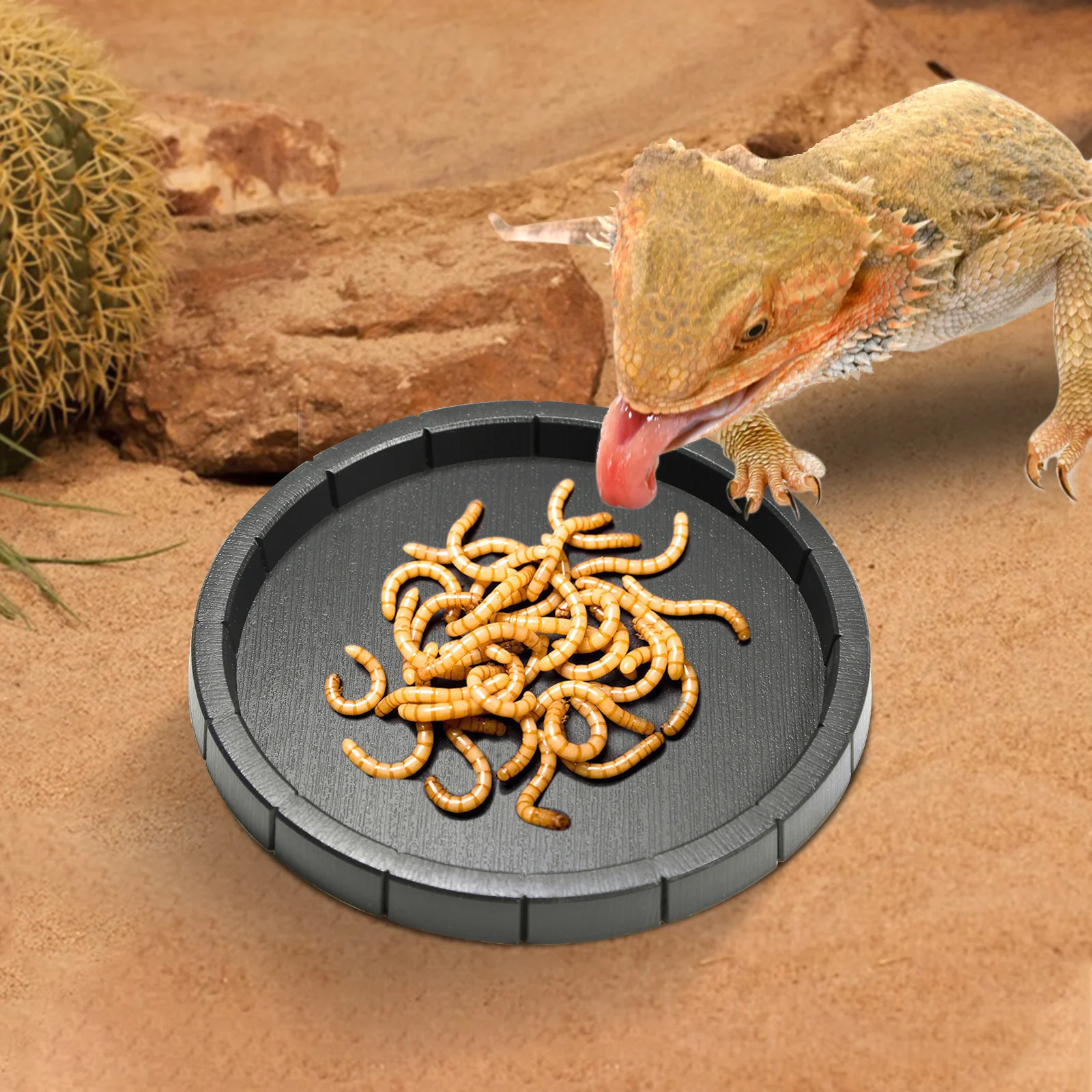 Thumbnail 4 - #27 Trending Reptile Water Bowls Right Now