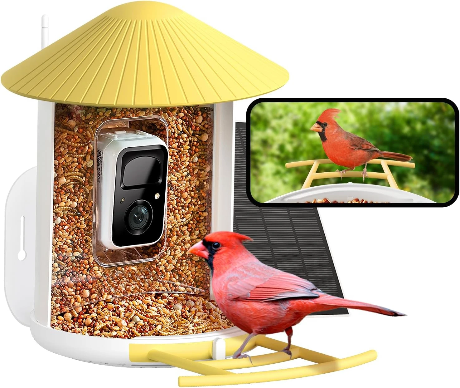 Comedero para colibríes, Suet Ball, comedero para gelatinas, captura automática de vídeos y detección de movimiento para pájaros, regalo ideal para la familia