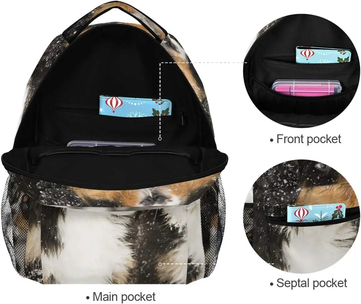 Schule College Rucksack Rucksack Reise Büchertasche Outdoor Berner Sennenhund