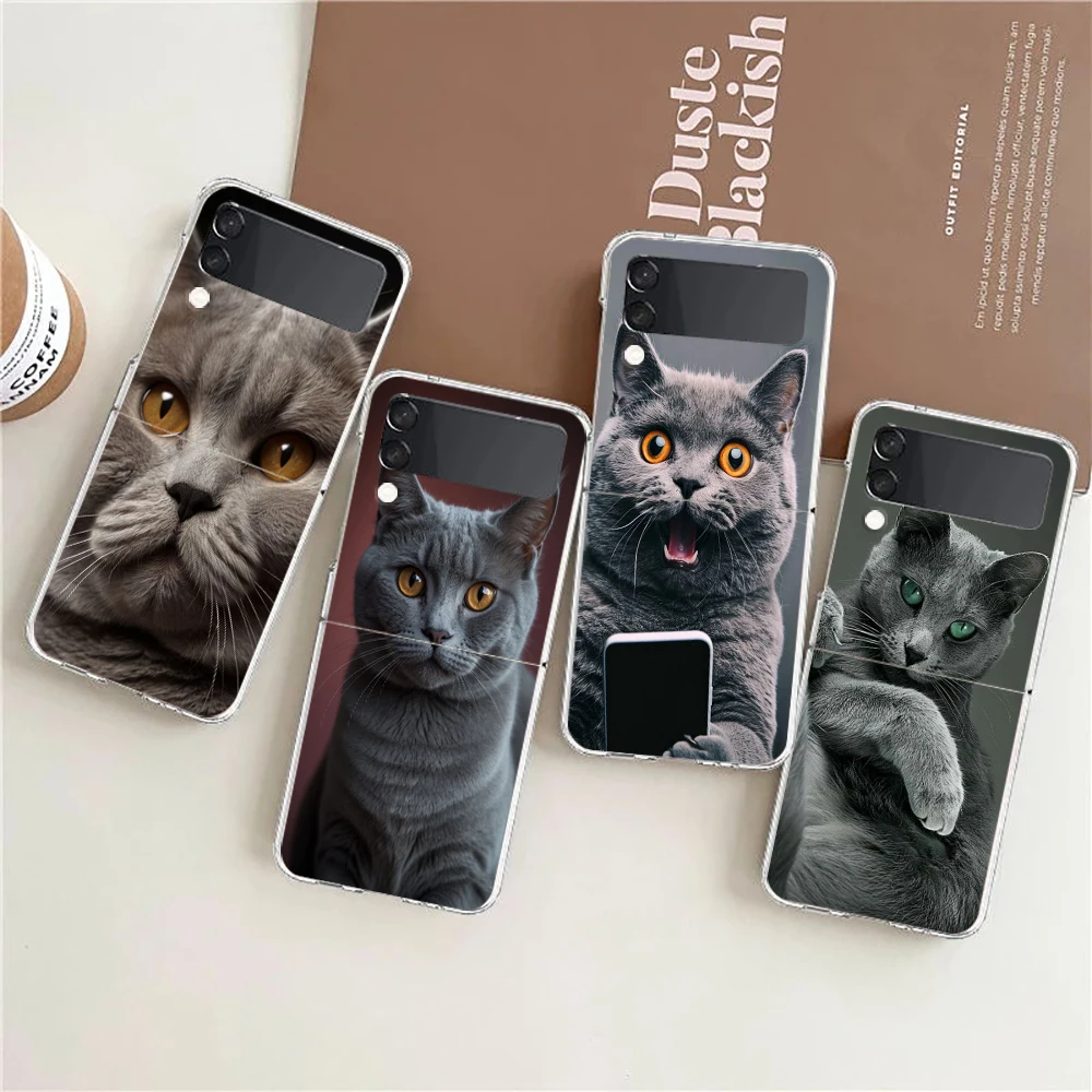 Capa de telefone para samsung galaxy z flip 7 6 5 4 caso transparente para samsung z flip 3 pc duro dobrável bonito britânico shorthair gato