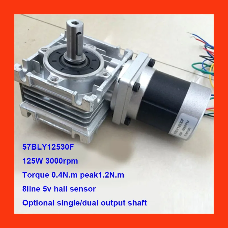 5:1-100:1 RV30 Worm Gear Reducer Motor Brushless DC Motor 24V 3000rpm 125W