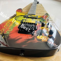 Classic tremolo electric guitar, professionally crafted, free home delivery.