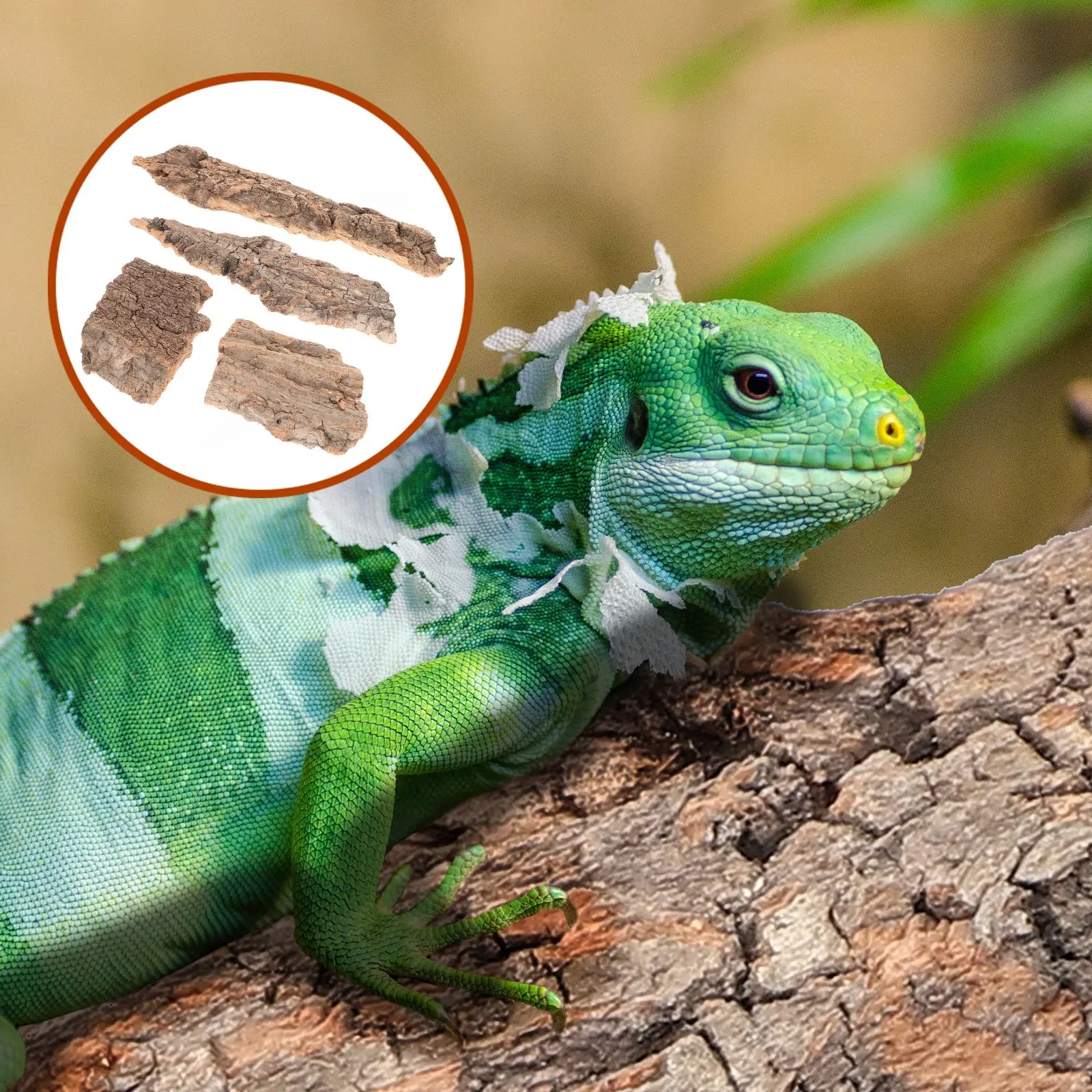 4 piezas de recubrimiento de reptiles para mascotas, terrario Natural para reptiles, rama de corcho, fondo plano para escalar corteza de árbol, reptil, roedor, decoración para reptiles