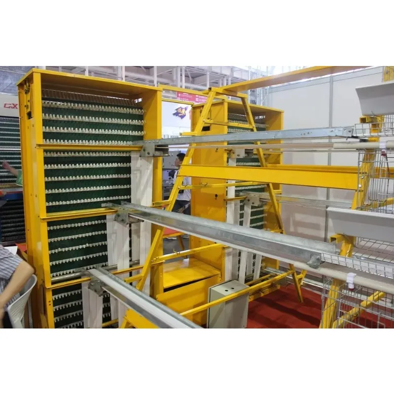 Customized New Condition Poultry Farm Egg Collecting System Efficient Egg Collecting Machines for Farms