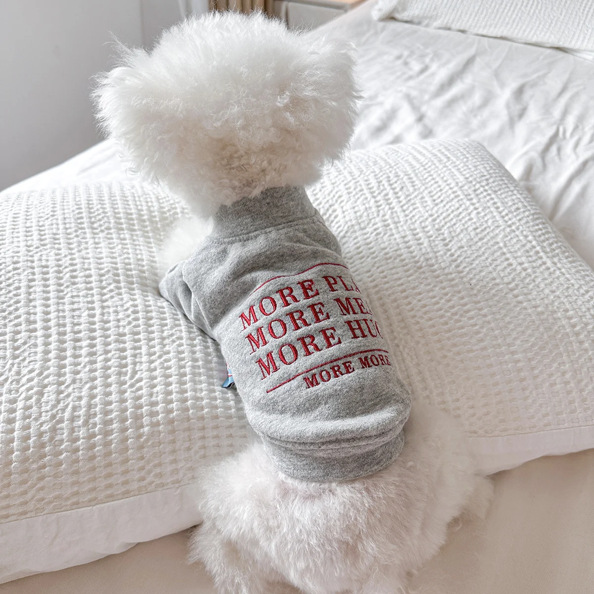 �y�Z�[�����z1Pc �y�b�g�����L�H�O���[�n���T���I�[�v���{�^���W���P�b�g�Z�[�^�[