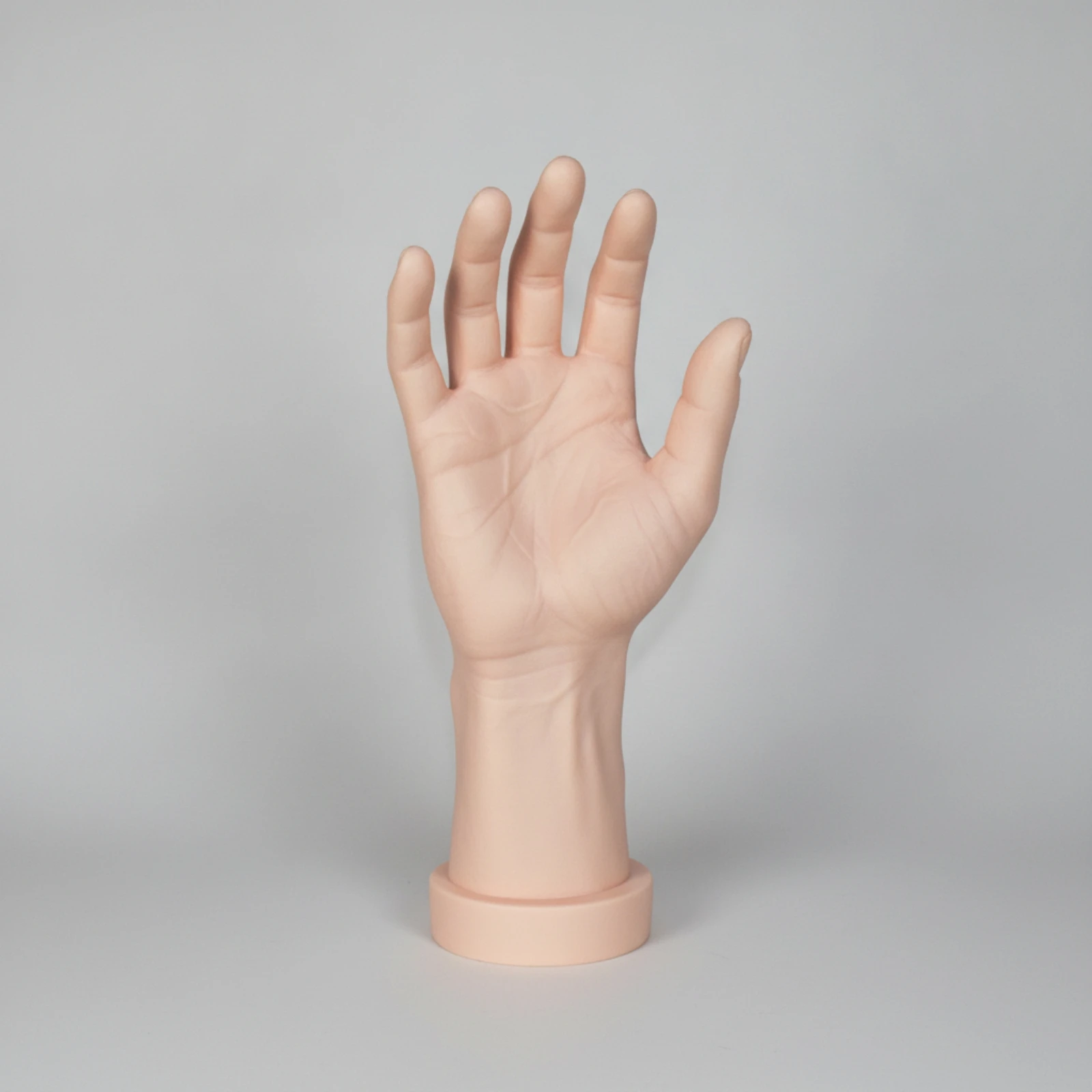Mannequin Hand with Base Realistic Hand Mannequin Upright Stable for Retailers, Shop Counter, Store Window
