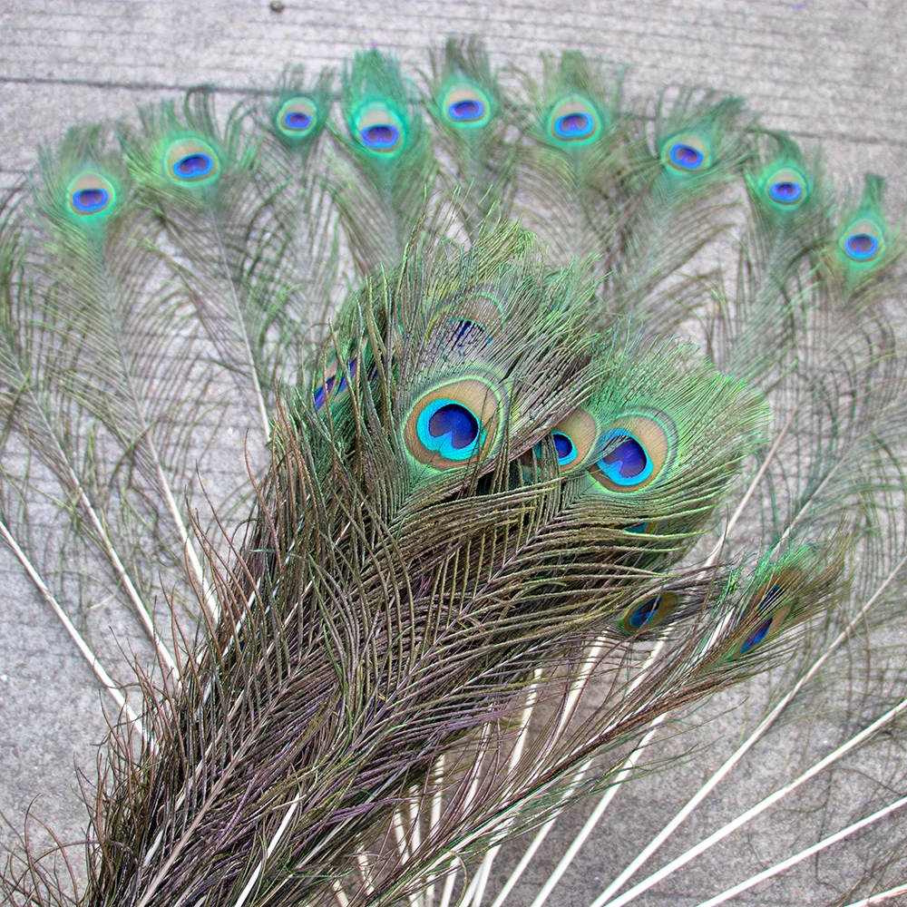 10PCS Natural Peacock Feathers Decoration Centerpiece Home Vase Ornament Chicken Rooster plumas Jewelry Earring Headdress Diy