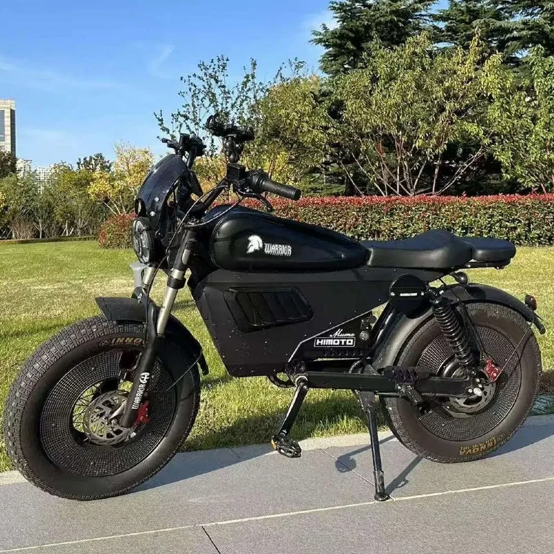 Black Warrior Motorcycle 3000W60V45AH Adult All-Terrain Mountain Electric Bike with LED Light 20 Inch Off-Road Fat Tire E-Bike image 7
