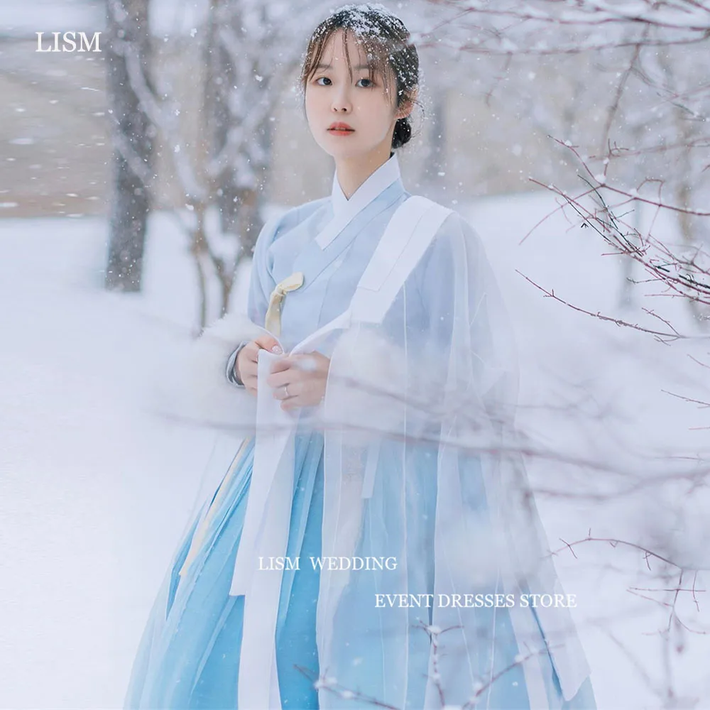 

LISM Navy Blue Tulle A-Line Korea Hanbok Wedding dapo chulik Photo Shoot Long Sleeves V-Neck Floor Length Formal Occasion Dress