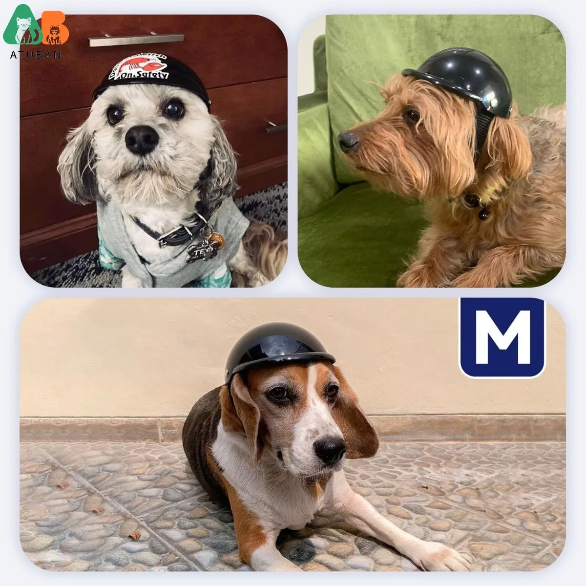 ATUBAN Dog Helmet, Motorcycle Safety Hat for Cats and Small Dogs' Biking Cycling,DIY Cat Hat,Adjustable Puppy Helmet Pet Hat view 6