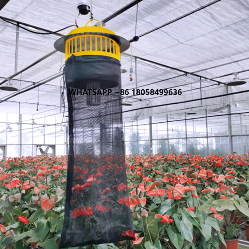 

Insect Killer Fly Bug Insect Repellent Lamp Solar Lights