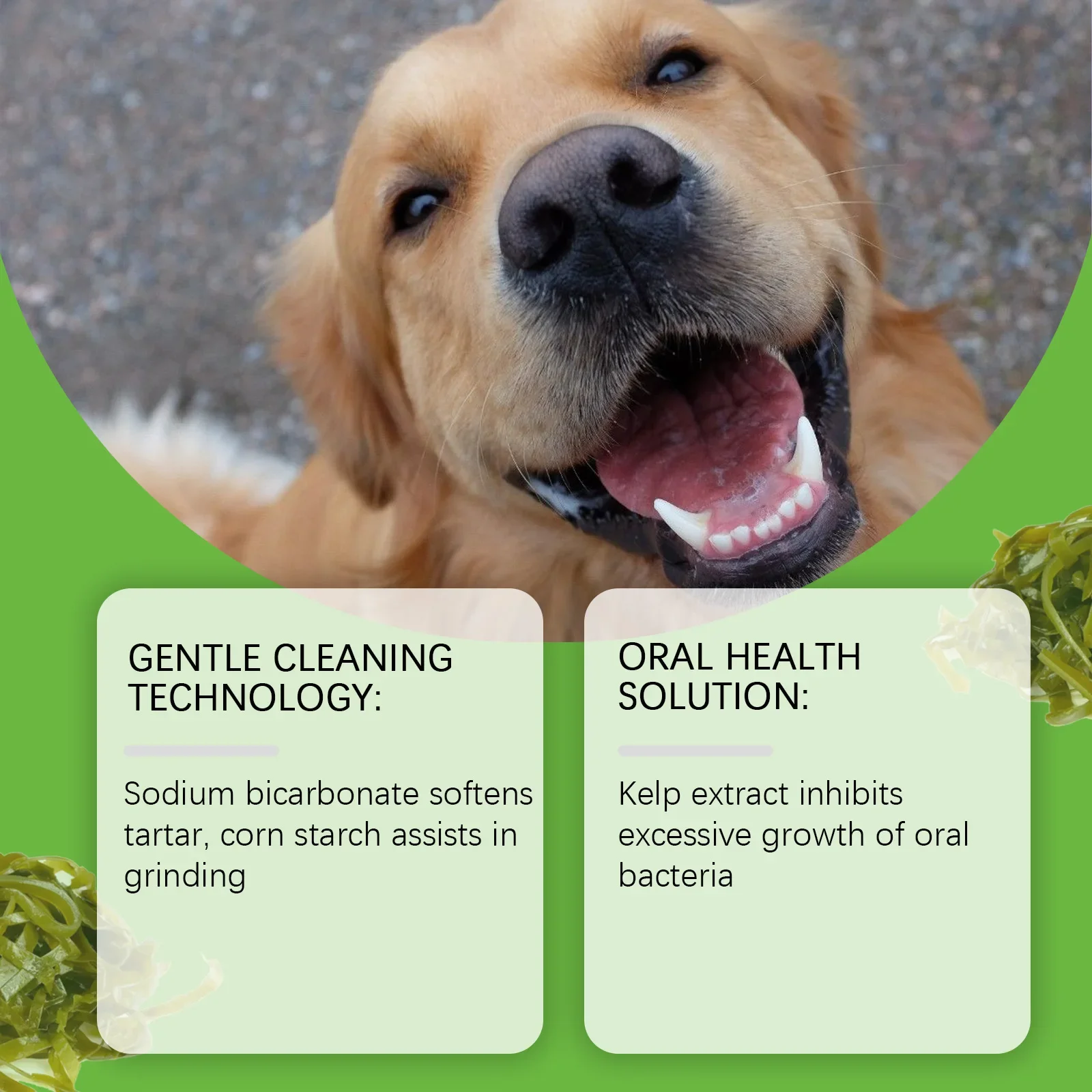 Yegbong Dog Teeth Cleaning Powder Reduce Bad Breath Gentle Fresh Removes Tartar Oral Gum Health Whitens Pets Teeth Powders 100g