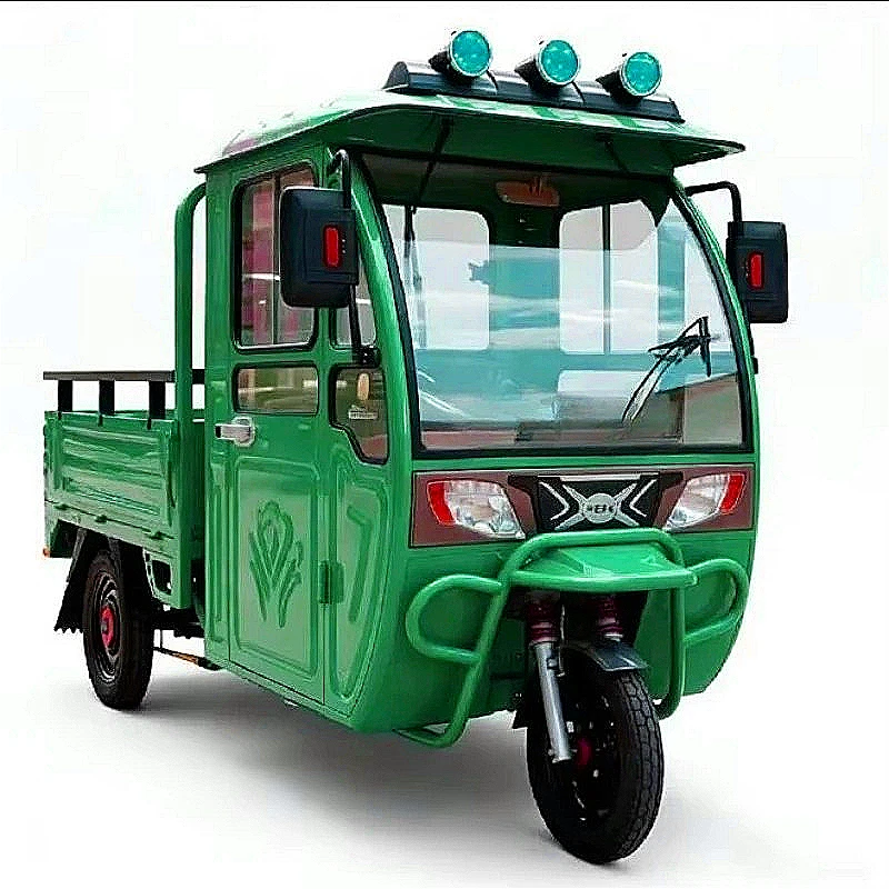 Light Electric Cargo Trike 48V 600W 150kg Box For Small Business Delivery Market Vendor Transport Customized