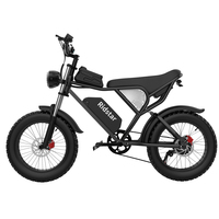 RIDSTAR Q20 1000 Watt All-terrain off-road City 40 Mile 48V20AH Removable Battery 7 Speed 20 Inch Fat tire Adult Electric Bike
