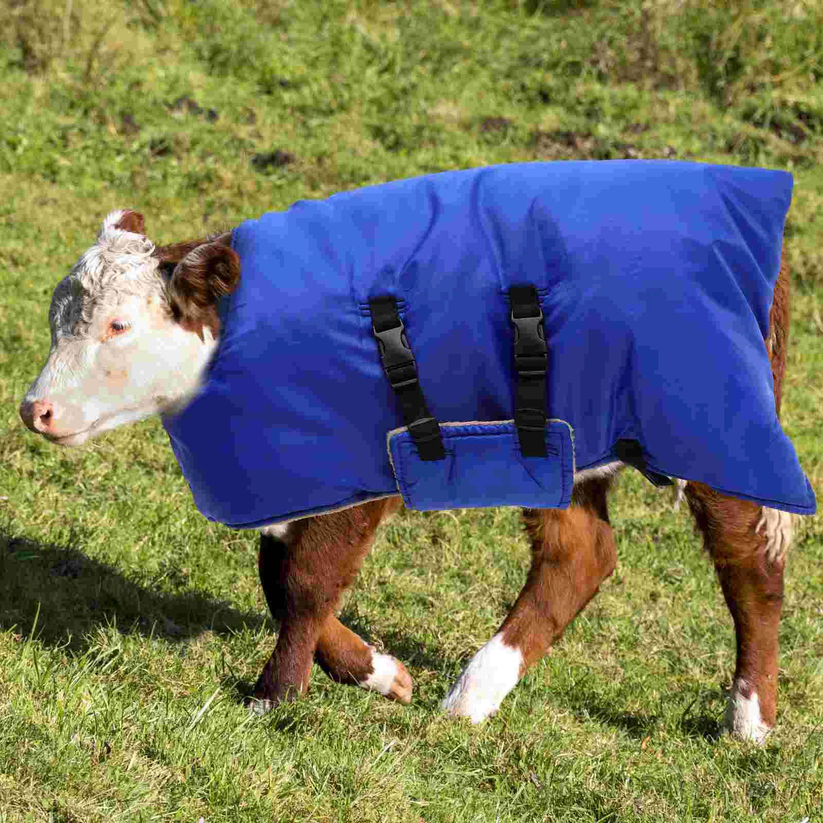 Vêtements chauds en linoléum imperméable pour réduire la maladie, veau, vache, épais, coupe-vent, glaçure, hiver