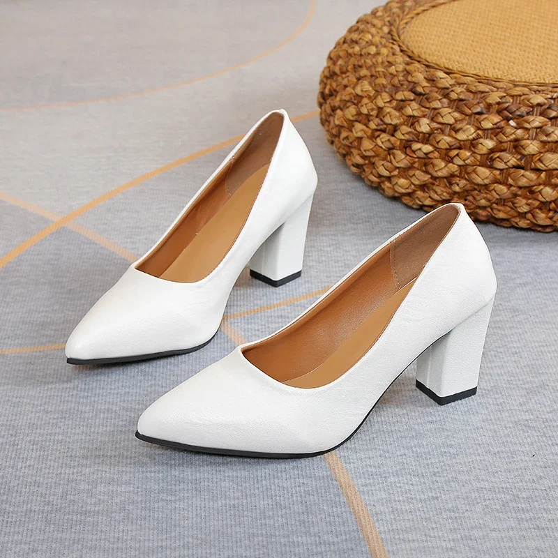 2024 Fashion Women's Single Shoes Pointed Toe Spring and Autumn Women's Comfortable Outerwear Slip-on Thick Heel Women's Shoes