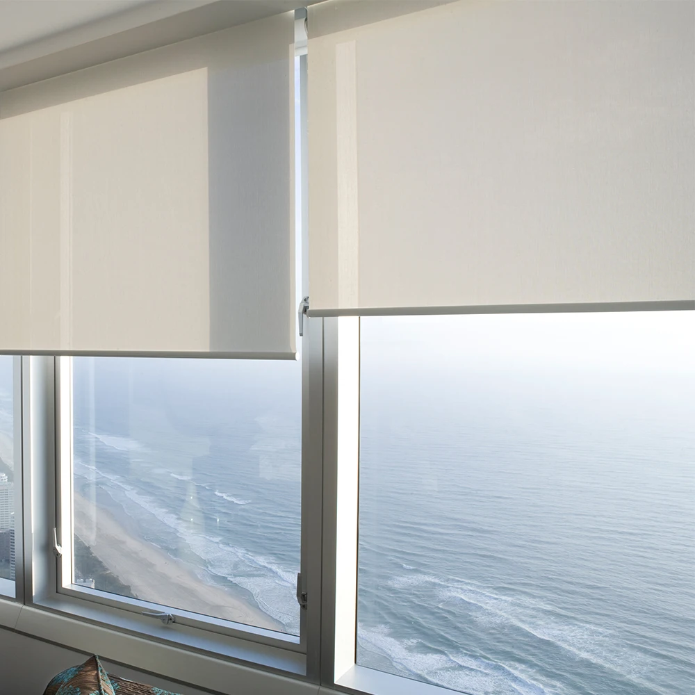 

Customized Day And Night Dual Motorized Roller Window Shades Cordless Sunscreen Double Roller Blinds