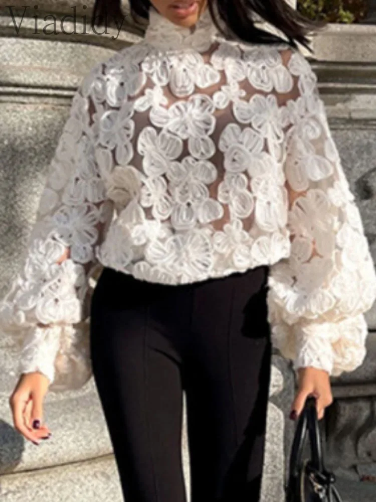 Camicetta pullover ricamata con maniche a lanterna in rete trasparente trasparente tinta unita sexy da donna