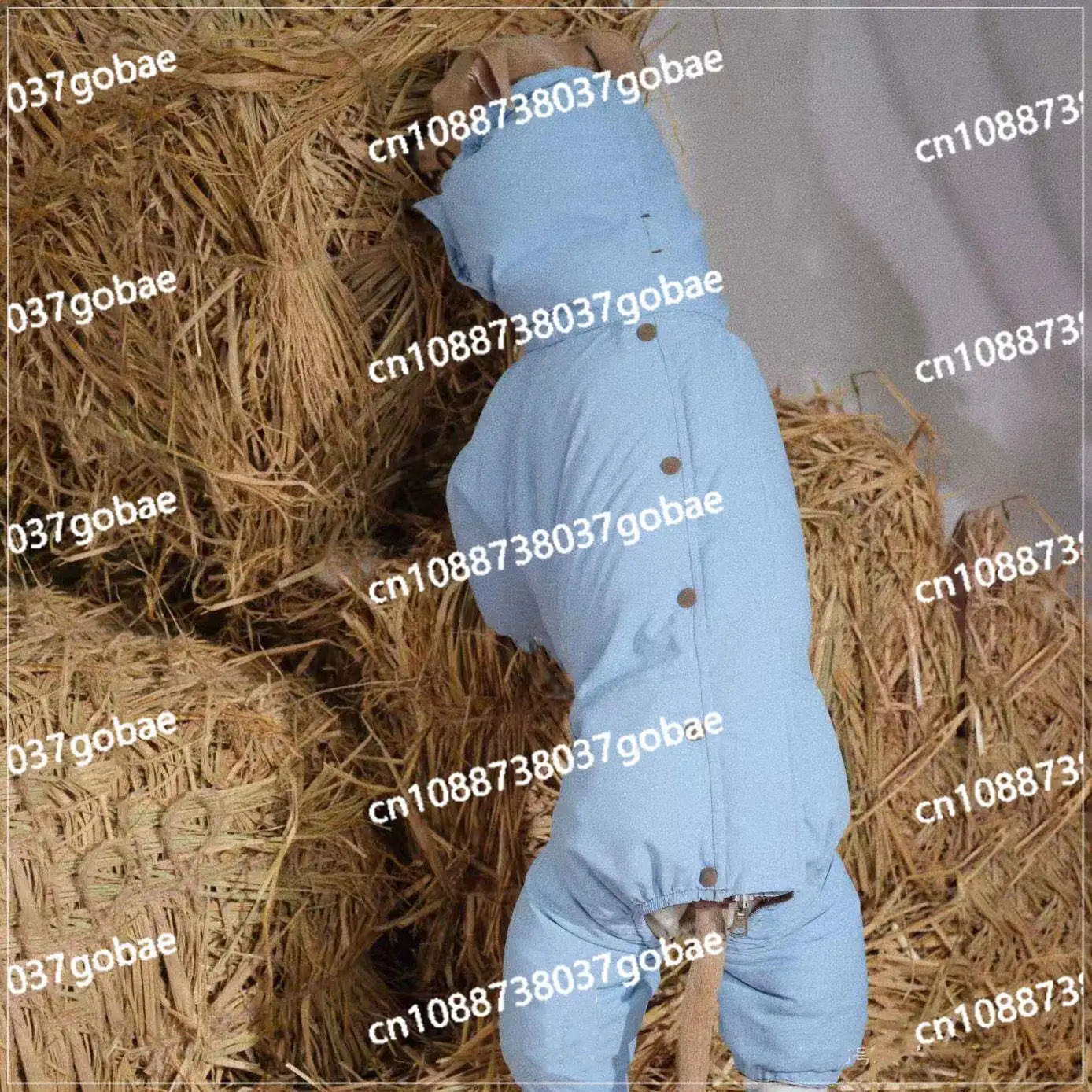 Medium-sized dog pet dog autumn and winter clothes warm windproof ecological cotton clothes