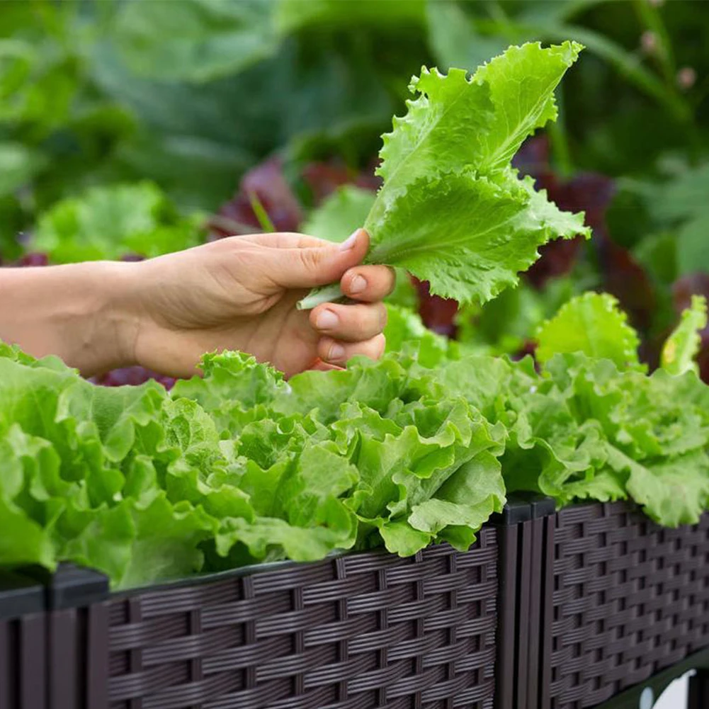 

Elevated Plastic Raised Garden Bed Planter Outdoor Planters with Drainage Holes