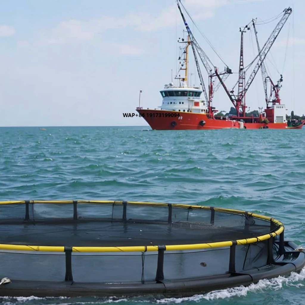 

Fish Cages Aquaculture Farming Hdpe Fish Farming Cage Floating for Pisciculture in Deep Sea