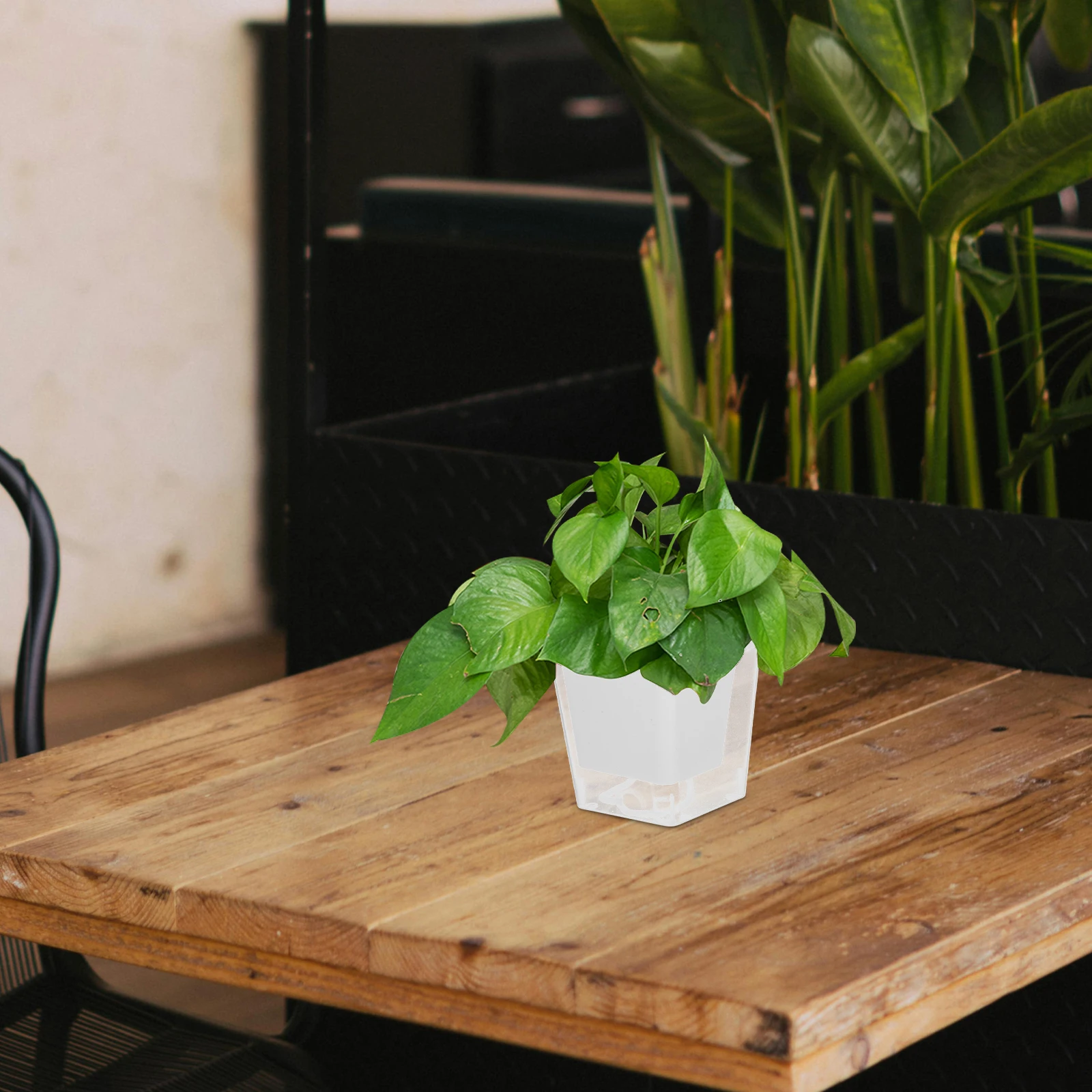 وعاء زراعة للشرفة ذو مساحة صغيرة، وظيفة الري الذاتي، هيكل مسامي لنمو النباتات الصحية للاستخدام الداخلي والخارجي #3