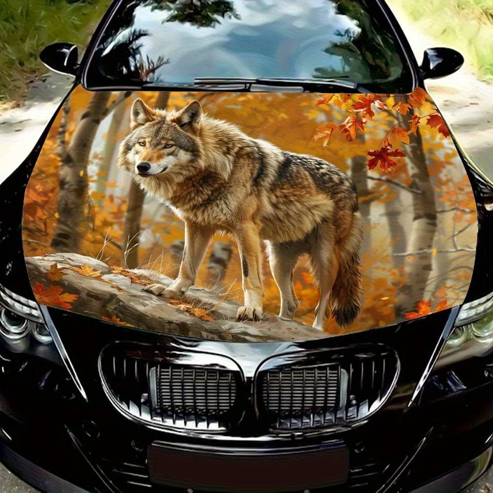 

Gray Wolf In Autumn Car Hood Decal Sticker, Durable PVC Material, Self-Adhesive For Cars, Motorcycles, Trucks - Fit, Artistic Ve