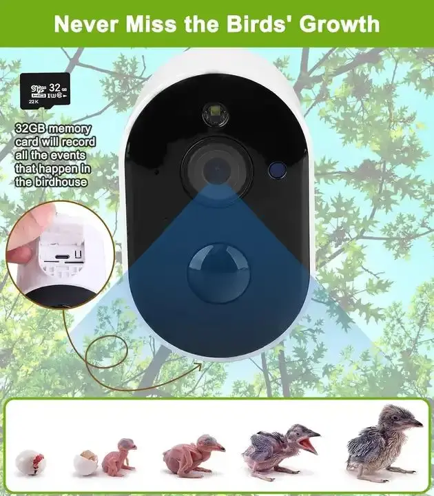 Manufacturer Wooden Smart Bird House with 1080P HD  Wireless 2.4G WiFi & App Solar Powered Waterproof