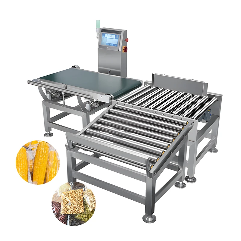 Industrial Food Metal Detector Machine Stainless Steel Conveyor Type for Food Packaging Line Metal Detection Custom